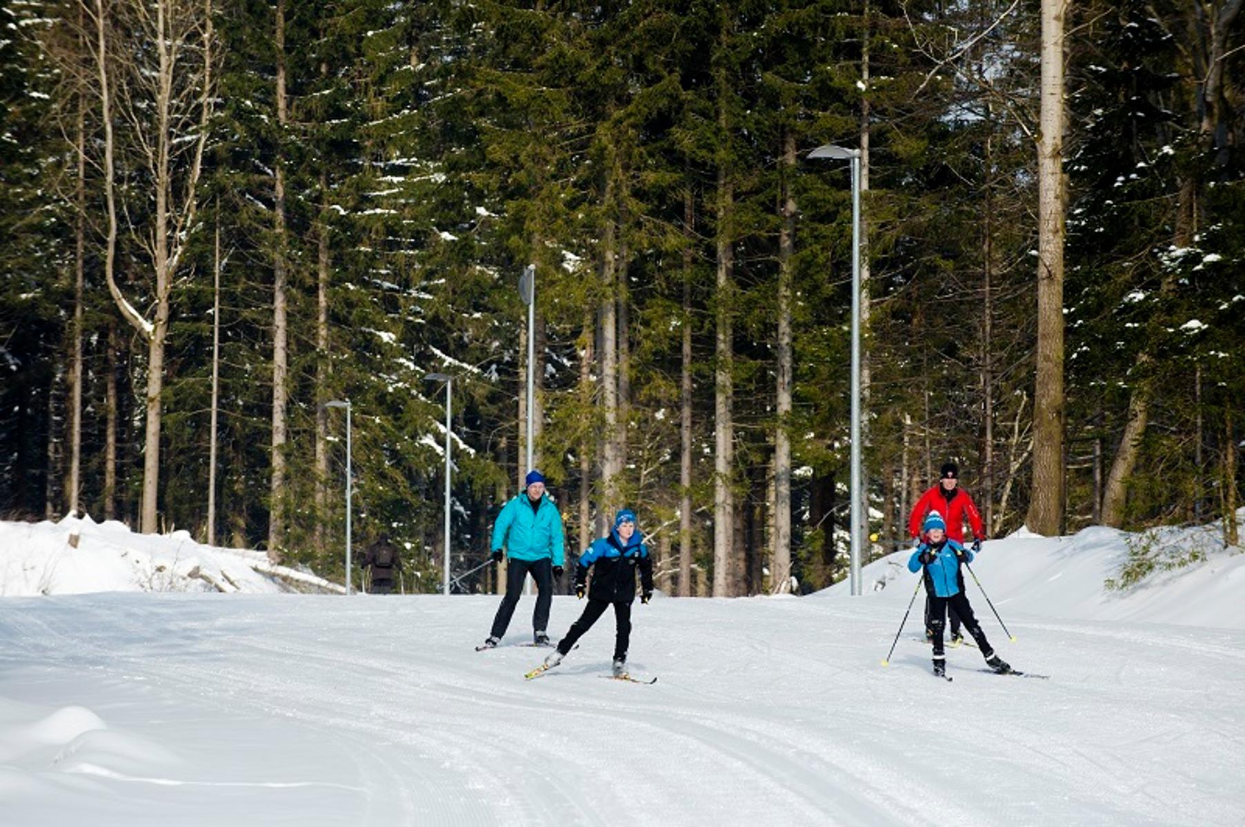 Die asphaltierte Skirollerbahn (im Winter Loipe) ist für jedes Wetter geeignet. 