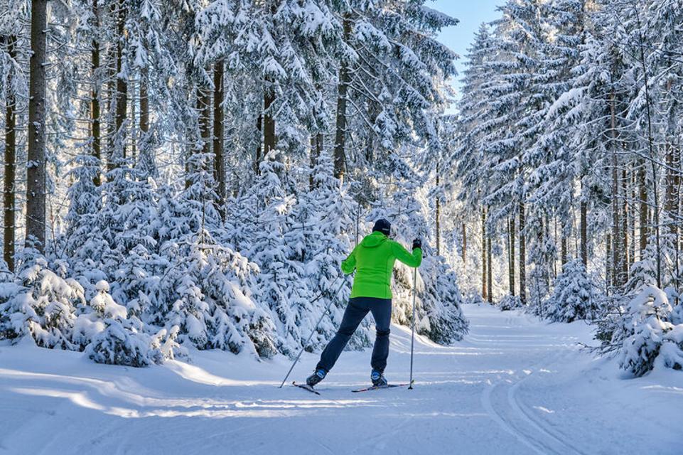 Ein Langläufer fährt durch einen Winterwald.