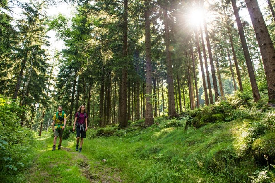 Zwei Wanderer laufen durch den Wald in Richtung Kösseinegipfel
