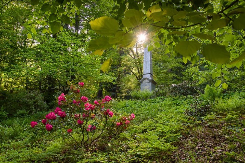Der Dendrologische Garten von Bad Berneck ist ganzjährig geöffnet und kostenlos zugänglich. Mit dem Thiesenring führt einer der beliebtesten Wanderwege des Fichtelgebirges durch den Park.
                 title=