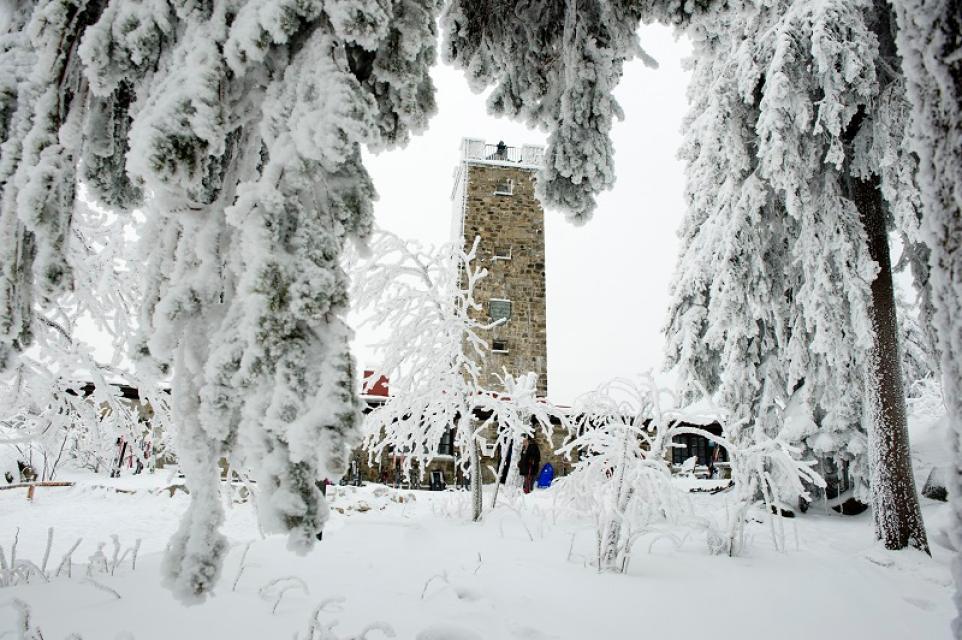 Unterwegs im traumhaft verschneiten Winter-Märchenwald und über sonnige Wiesen, fernab von geräumten Waldwegen, das Schneeschuhwandern macht es möglich. Jeder kann Schneeschuhwandern.