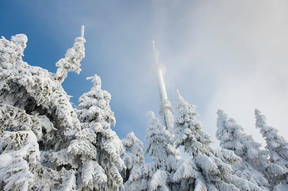 Die Skischule Hottenroth bietet Schneeschuhwanderungen an und verleiht die entsprechende Ausrüstung.