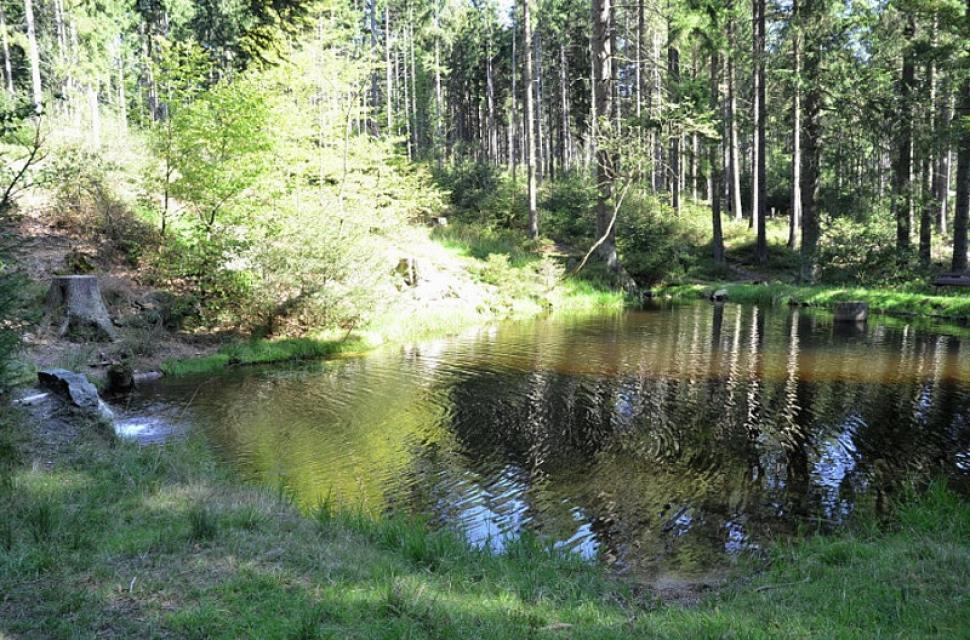 Der Salzweiher ist ein künstlich angelegter kleiner Stausee und liegt im Waldgebiet östlich vom Warmensteinacher Ortsteil Fleckl. Gespeist wird er vom Oberlauf des Flusses Warme Steinach, die am Südhang des Ochsenkopfes entspringt.