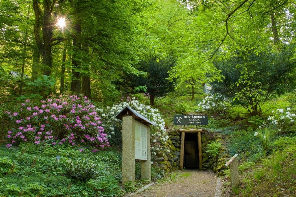 Inmitten des heutigen Dendrologischen Gartens befindet sich das ehemalige Bergwerk "Beständiges Glück". Dieses war von 1486 bis 1841 in Betrieb und wurde vor allem zum Abbau von Alaunschiefer verwendet.
                 title=