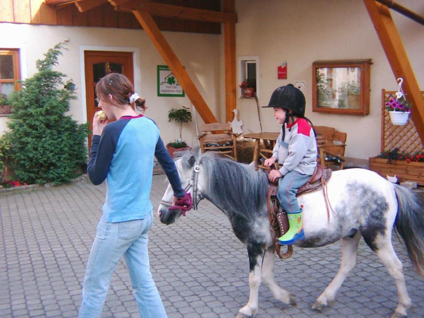 Idealer Familienurlaub in idyllischer Lage im Naturpark Steinwald!