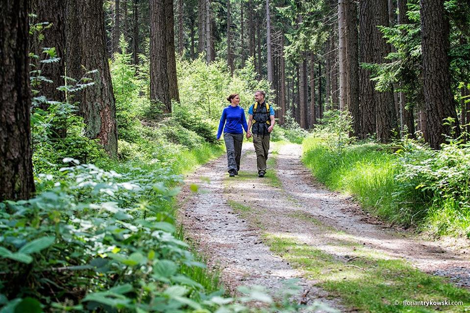Die Nordic-Walking Rundtour Gefrees / Kornbach 02 (Hirtengarten)&nbsp;hat eine Länge von ca. 8&nbsp;km. Es ist eine mittelschwere&nbsp;Tour.