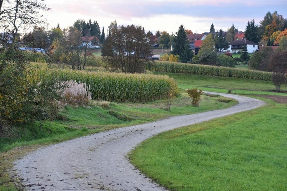 Mittelweg