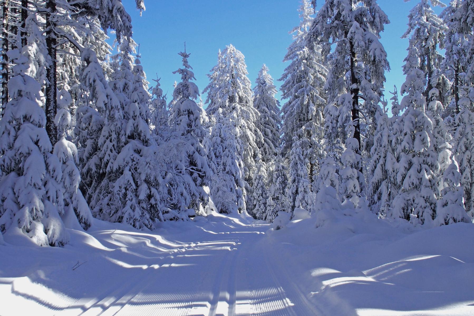 Dieser mittelschwere Rundkurs führt ab dem Wanderparkplatz in Pfaben bei Erbendorf aufwärts bis zum Waldhaus (3 km) und zurück über den Saubadfelsen (2 km). Außerdem besteht am Waldhaus die Möglichkeit zum Einstieg in den Skihauptwanderweg in Richtung nördlicher Steinwald. 
