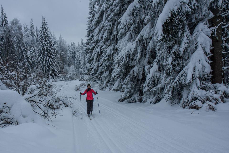 Der Rundkurs&nbsp;Teichelbergloipe ist knapp 5 km lang. Es besteht die Einstiegmöglichkeit in den Skihauptwanderweg der Steinwaldloipe ab Abschnitt G.