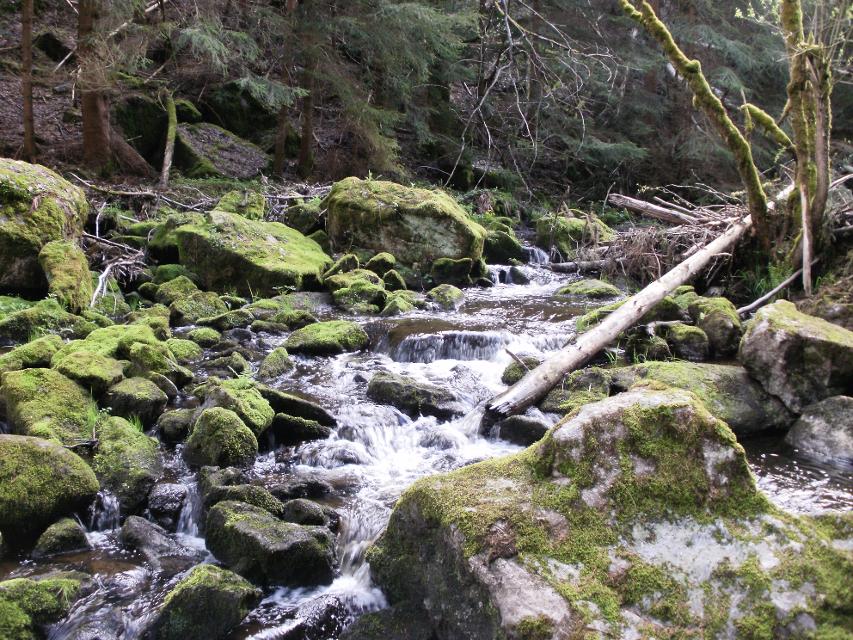 Eger-Wasserfall ist ein Naturhighlight im Thuswald in Röslau
