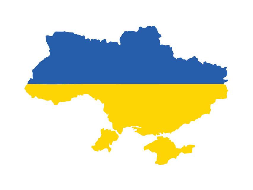 Ein osteuropäischer Frühling: das ukrainische Volk steht auf, es wehrt sich gegen Bevormundung, Korruption und Misswirtschaft und ruft nach Demokratie, Gerechtigkeit und mehr Wohlstand. Es will sich dem Westen anschließen, der für diese Werte steht. Russland will das nicht akzeptieren, es annekti...
