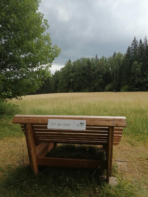 In Bad Alexandersbad gibt es gleich zwei Kurwälder, die Besucher in ein Reich der Achtsamkeit entführen.