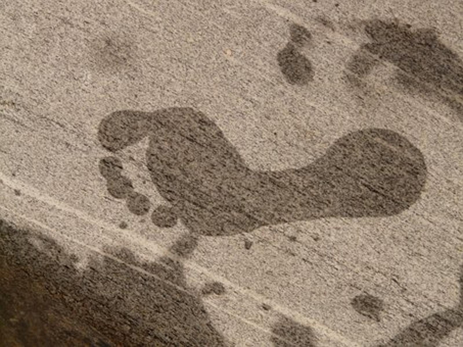 Fußabdruck eines linken Fußes im weichen Boden. 