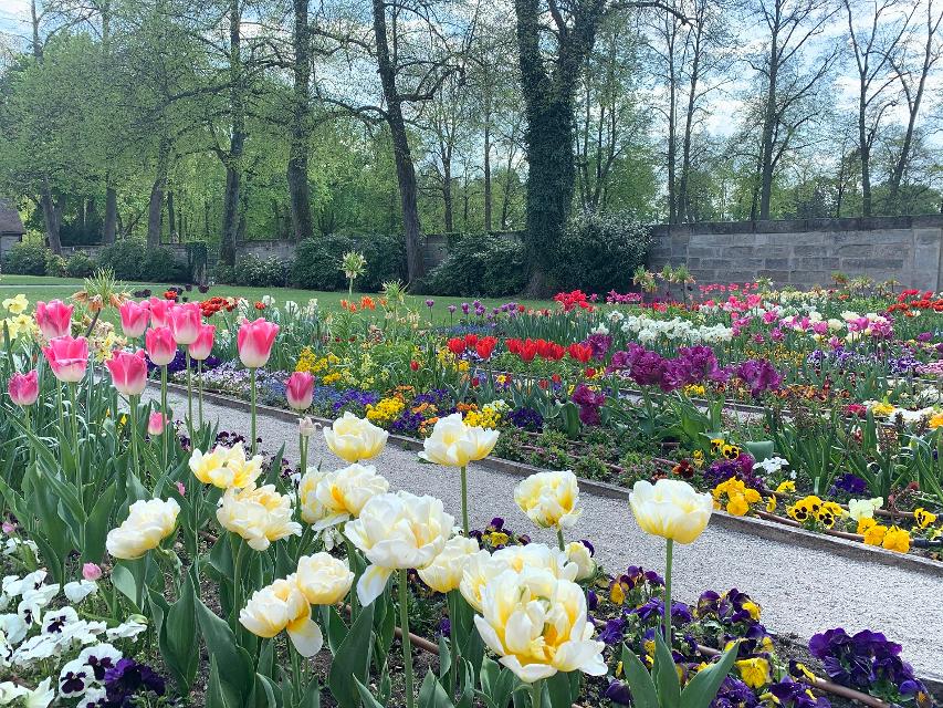 Der Hofgarten ist eine
Oase der Erholung und Ruhe inmitten der Stadt. Wer heute im Bayreuther
Hofgarten spazieren geht, kann sich der langen, abwechslungsreichen Geschichte
der Anlage kaum entziehen. Überall im Garten haben über 400 Jahre gärtnerischer
Gestaltung Spuren hinterlassen. 