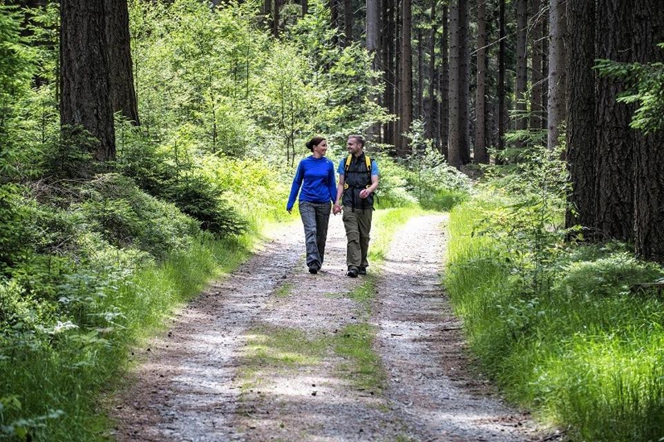 Wanderung von Immenreuth durch die Flötz und den Ahornberger Forst zum Wildpark Waldhaus Mehlmeisel.