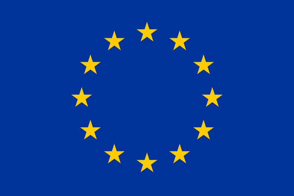 Die Wahl zum Europäischen Parlament findet am 9. Juni 2024 statt.