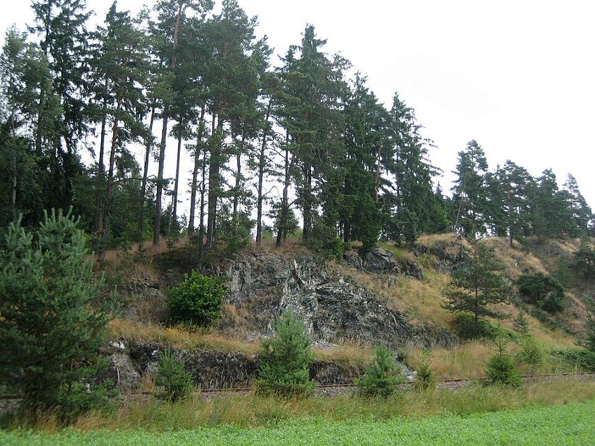 Die Wojaleite ist ein Naturschutzgebiet und Geotop zwischen Woja, einem Ortsteil der Stadt Rehau, und Oberkotzau im oberfränkischen Landkreis Hof.