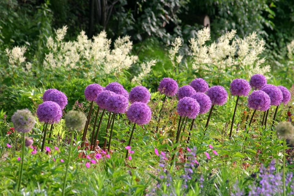 Okologisch Botanischer Garten Der Universitat Bayreuth