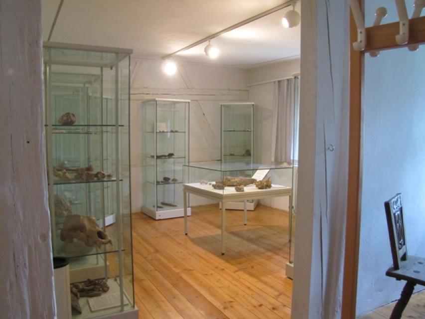 Blick in einen Ausstellungsraum mit Glasvitrinen, in denen Ausstellungsstücke zu erkennen sind.