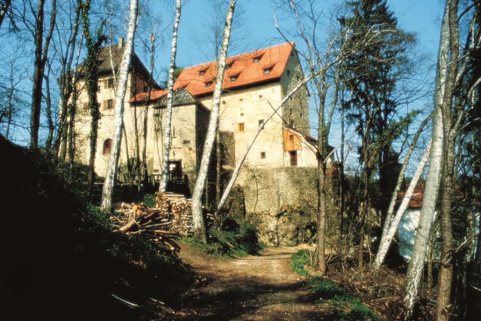 Hinter drei Birken versteckt sich die Rückansicht der Burg Rabeneck. Ein kleinerer Anbau und die zwei Hauptgebäude sind zu sehen.