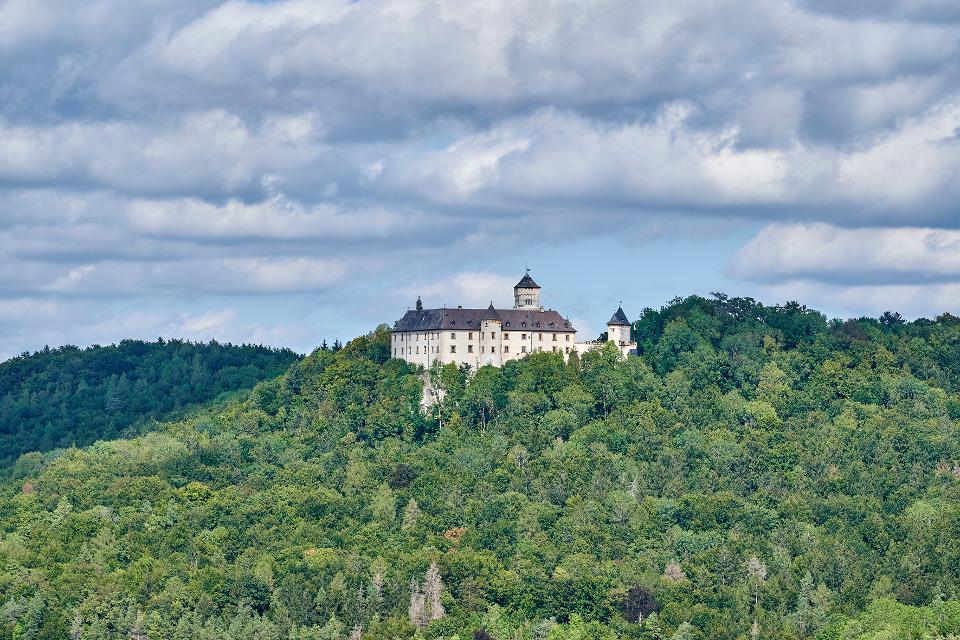 Auf einem bewaldeten Hügel erhebt sich ein weißes Schloss mit dunklen Ziegeln.
