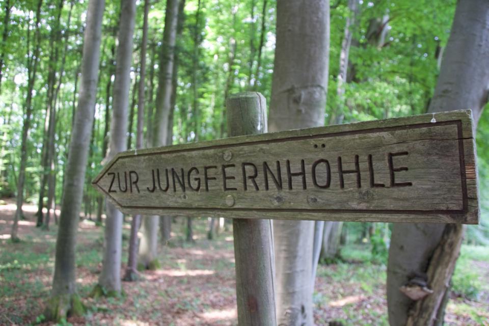 An einem Holzpfosten ist ein Holzschild mit der Aufschrift Zur Jungfernhöhle angebracht. Das Schild  steht im grünen Wald.
