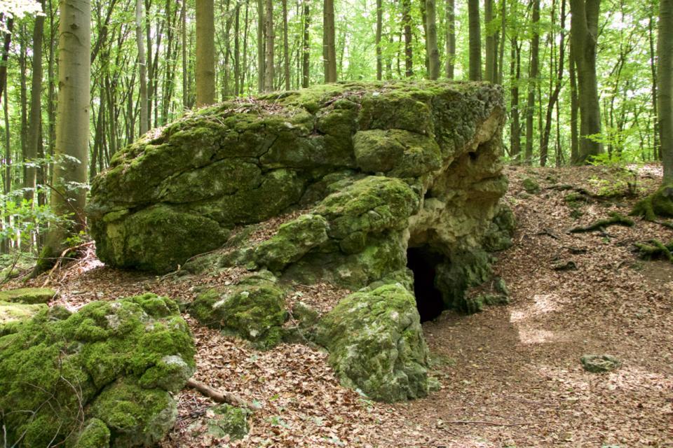 Im Wald erhebt sich eine Felsansammlung, in deren Mitte der Höhleneingang ist.