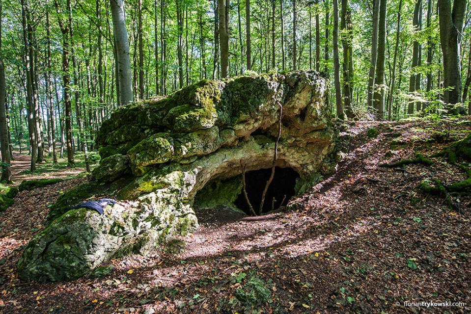 Im Vordergrund der Fels mit einem großen Loch, das in die Höhle führt. Im Hintergrund erhebt sich hellgrün der Wald.