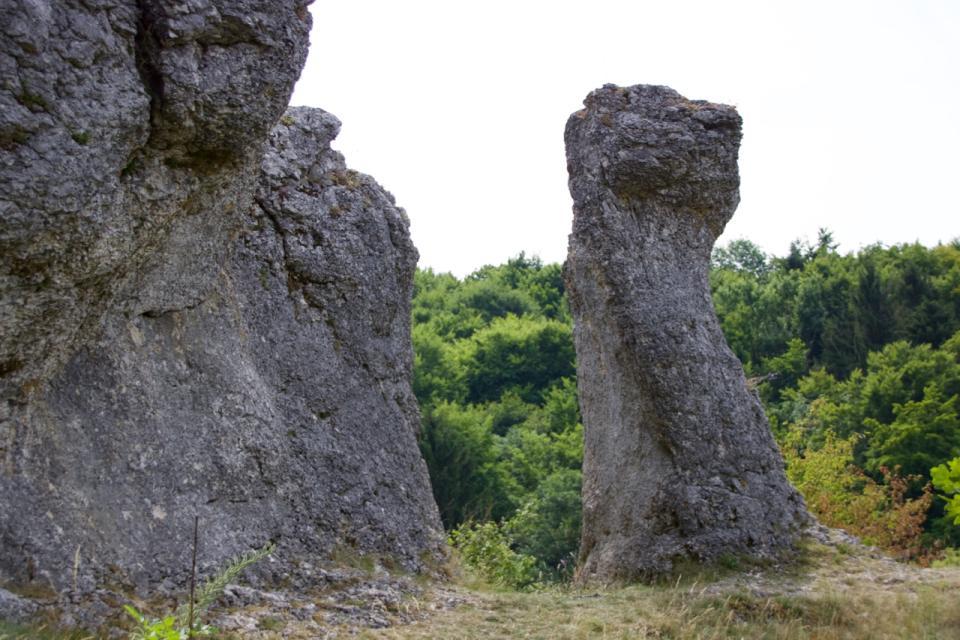 Neben einer massiven Felswand erhebt sich auf einer trockenen Wiese eine Felsnadel.