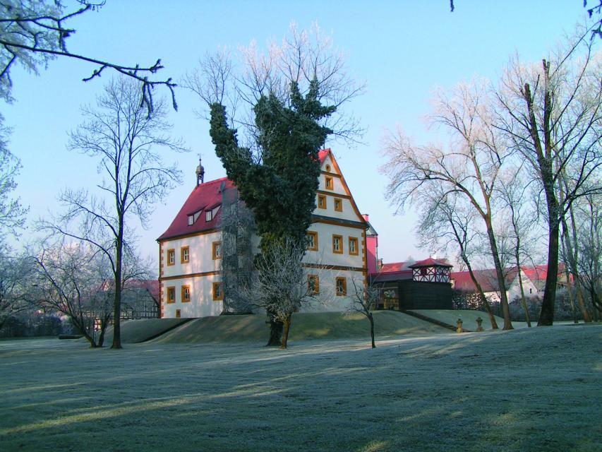 Herbstlicher Blick auf den Park vor dem Schloss, in dem vereinzelt Bäume stehen. Mittig erhebt sich das Schloss mit rotem Ziegeldach und weiß-gelber Fassade.