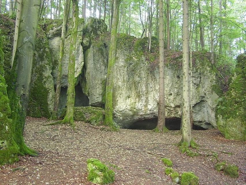 Vor einer Felswand mit einem Höhleneingang stehen hochaufragende Buchen in einem Wald.
                 title=