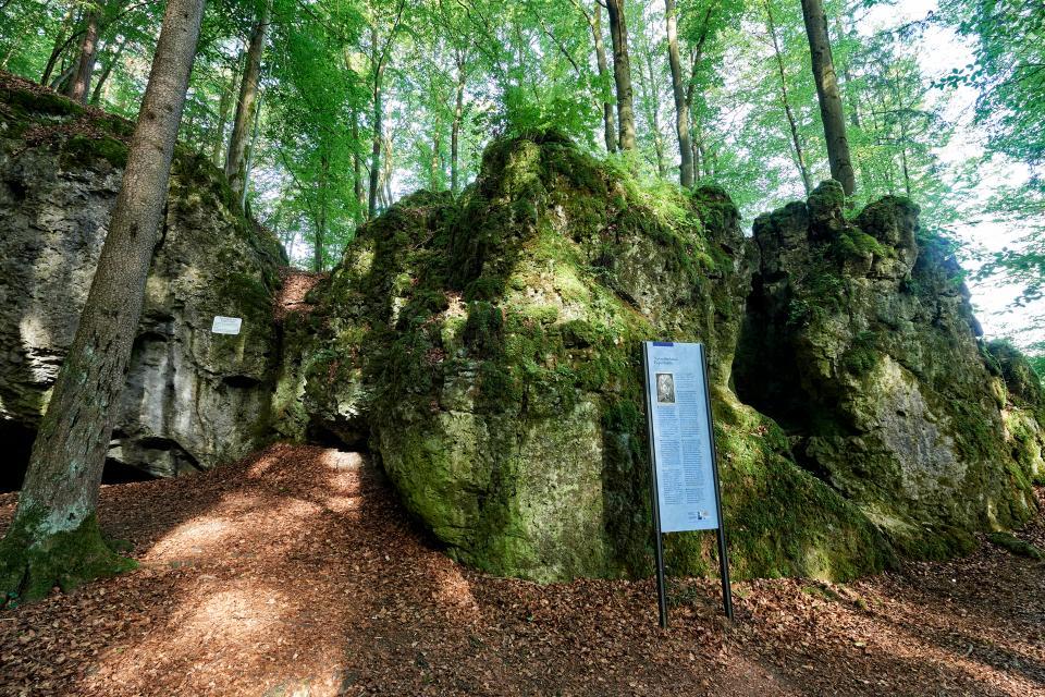 In einem Wald steht vor einem Felsmassiv eine hellblaue Informationstafel.
