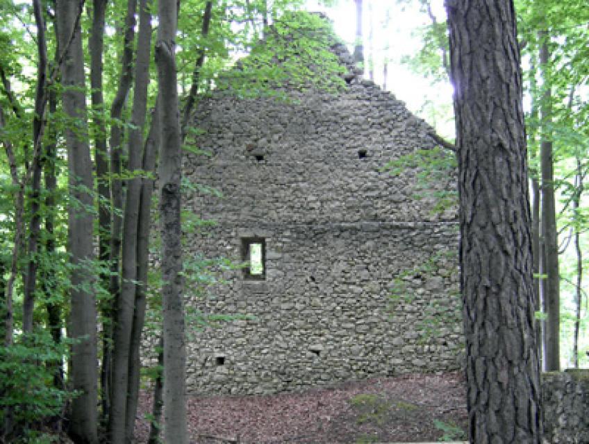 Die Reste der aus steinen erbaute Kirche mit einer Fensteraussparung stehen im Wald.