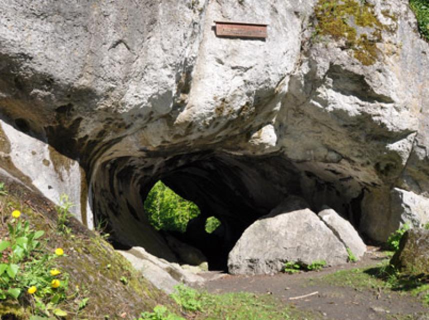 Das Quackenschloss ist eine Höhlenruine, deren Reste zu einem sehr hoch gelegenen (505 m) und damit sehr altem Höhlensystem gehören.