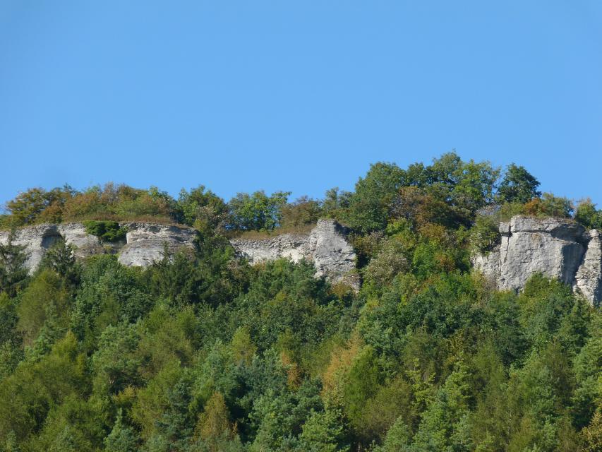 Blick auf die Kante eines Waldhanges. Am oberen Ende ragen massive Felsen aus dem Wald.