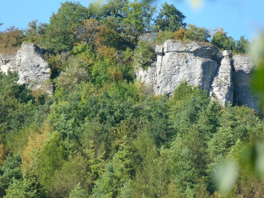 Der Hummerstein, ein markantes Felsplateau, erhebt sich weit sichtbar oberhalb von Gasseldorf an der Abzweigung vom Wiesent- ins Leinteitertal. 