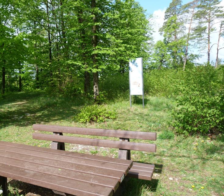 Vor einem Wald steht eine braune Sitzgruppe mit Tisch. Dahinter steht eine Infotafel, deren Inhalt nicht erkennbar ist.