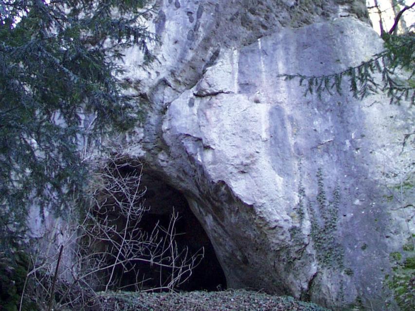 Hinter Nadelbäumen erhebt sich eine mächtige Felswand mit einem großen Loch - dem Eingang zur Höhle.