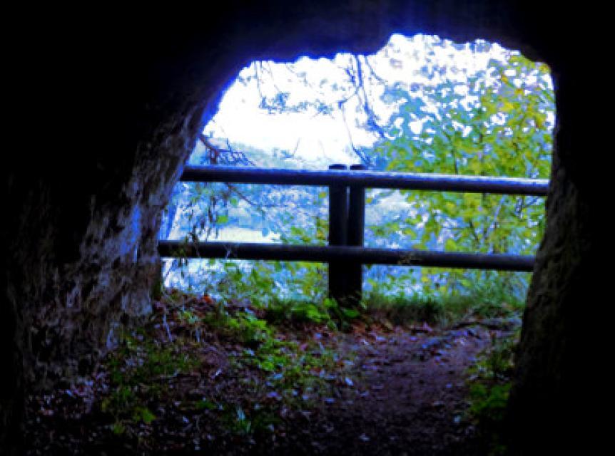 Blick aus der dunklen Höhle auf ein Holzgeländer. Im Hintergrund erahnt man hinter grünen Büschen die Aussicht.
                 title=
