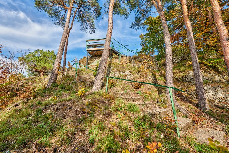 An einem Hang mit Kiefernbäumen verläuft der Aufstieg mit grünem Geländer zur Aussichtsplattform, die im Hintergrund zu erkennen ist.