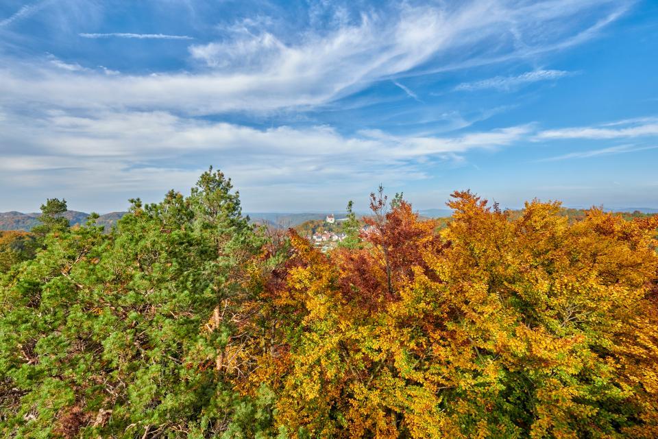 Blick auf den bunten Herbstwald. In der Mitte, oberhalb der Baumkronen, ist die Burg Gößweinstein zu erahnen.