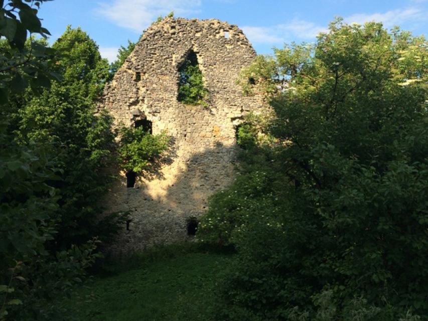 Die Ruine Neidenstein erzählt eine bewegte Geschichte. Erstmals wurde die Höhenburg im Jahre 1488 erwähnt. Im Bauernkrieg wurde sie 1525 vollständig zerstört. Nach dem Wiederaufbau wurde sie während des Dreißigjährigen Krieges überfallen und verwüstet. Heute können noch die Reste der Umfassung...
                 title=