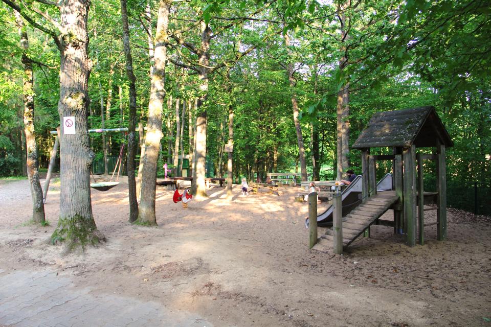 Weitläufiger Sandplatz unter schattigen Waldbäumen, kleiner Spielturm mit Rutsche , im Hintergrund Wipptiere, eine Nestschaukel und Bänke zum Verweilen