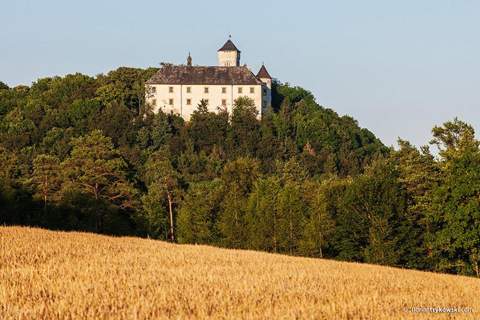 Schloss Seehof, die Giechburg, Schoss Greifenstein: Auf dieser E-Bike Tour liegt der Fokus auf den Burgen und Schlössern am Weg.
                 title=