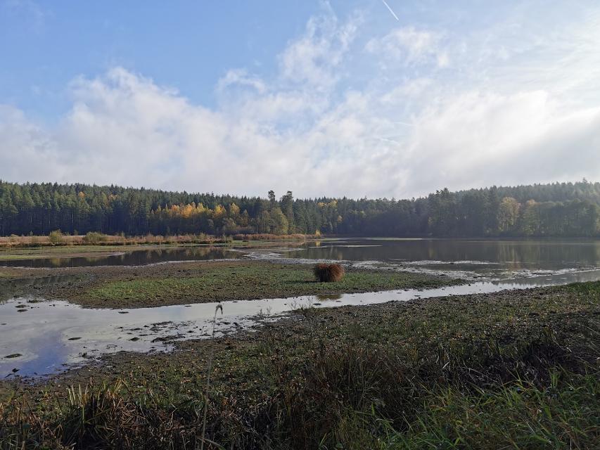 Herbstlichen Tour durch das Naturschutzgebiet „Pegnitzau zwischen Ranna und Michelfeld“ 