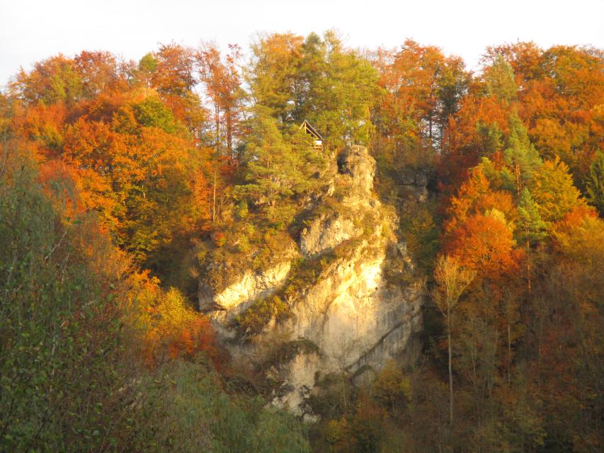Inmitten des farbenfrohen Herbstwaldes erhebt sich eine Felswand, die von der Abendsonne angestrahlt wird.