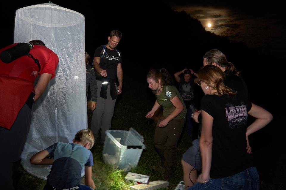 Eine Gruppe Menschen stehen in der Dunkelheit um eine Kiste, in der vermutlich Insekten zu sehen sind.