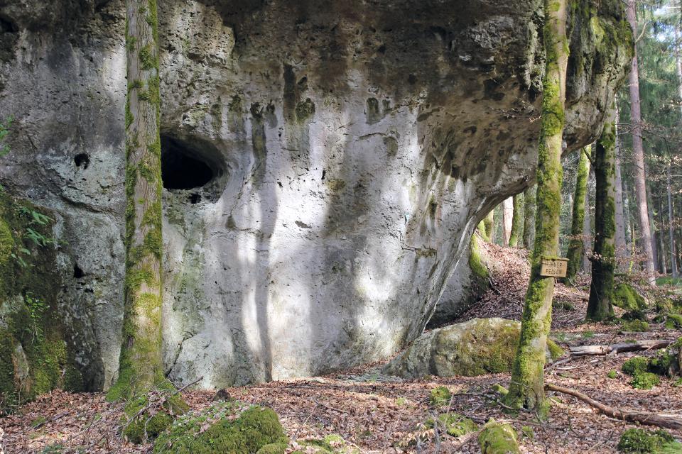 Den Veldensteiner Forst mit seinen Naturdenkmälern erkunden.