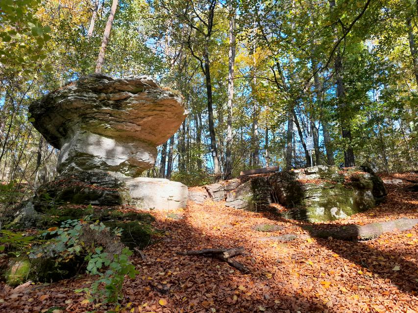In einem Wald erhebt sich ein mächtiger Fels, der wie ein Pilz geformt ist.
                 title=