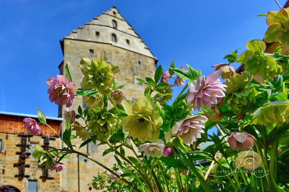 Bunter Frühlingsmarkt auf Schloss Thurnau